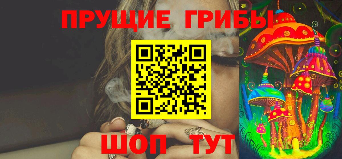 Псилоцибиновые грибы GOLDEN TEACHER  Вход с VPN  магазин  наркотиков  Асино 