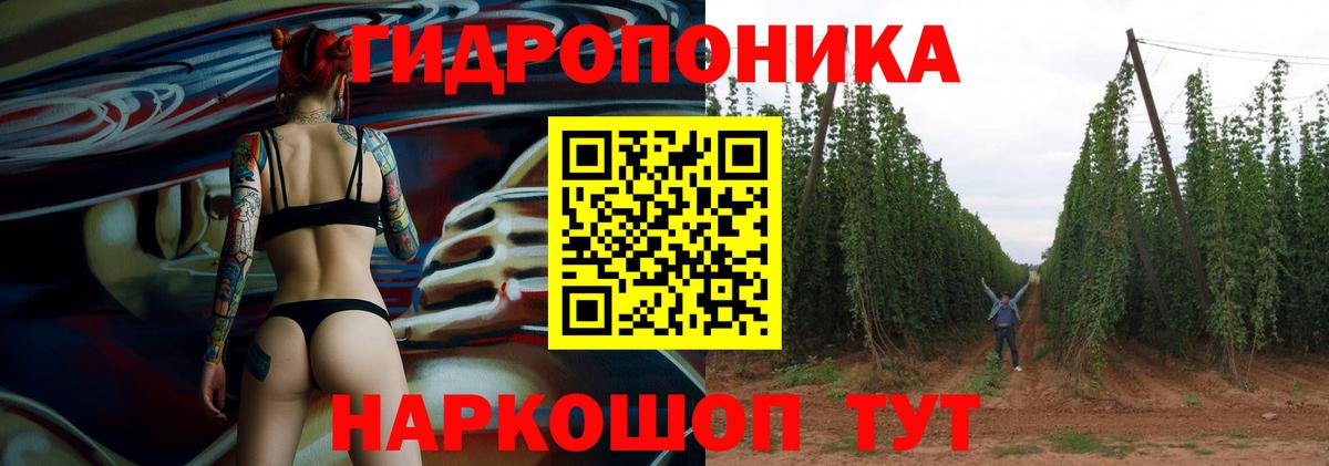 Бошки марихуана Bruce Banner  Каннабис AK-47  Вход с VPN  Асино  Каннабис тримм 